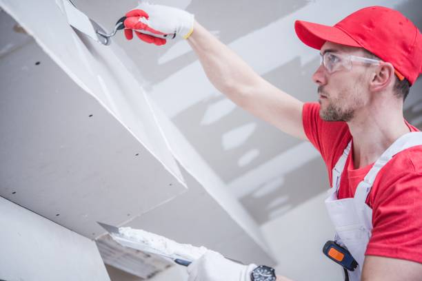 Best Mold Removal for HVAC Installations  in USA